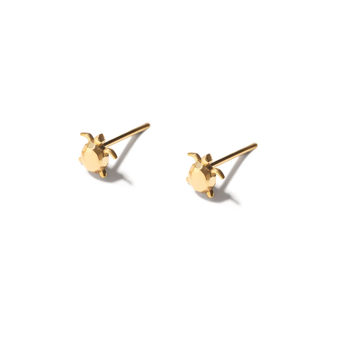 Turtle Stud Earrings